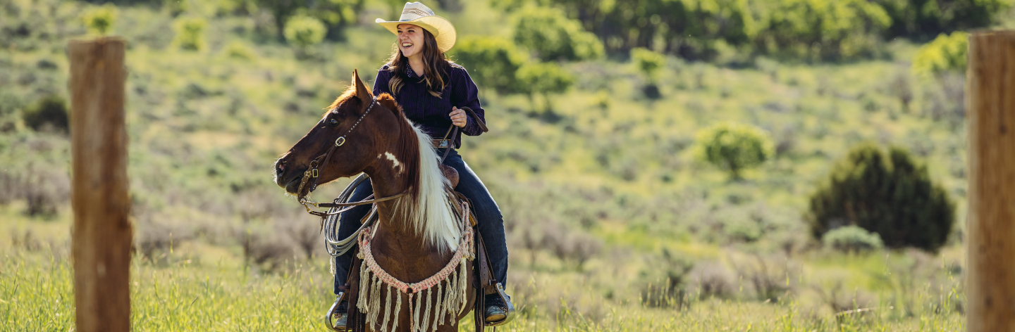 Utah Cowgirl On Horse